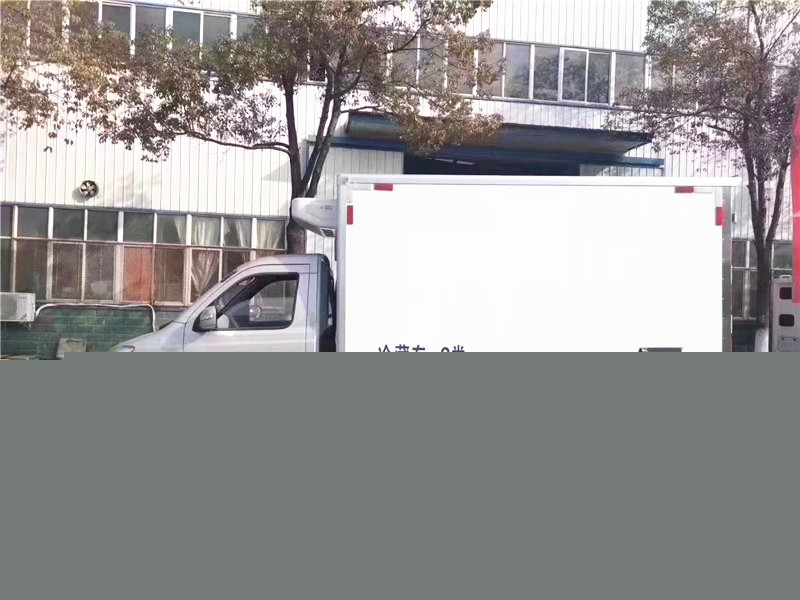 國六 長安跨越王3米冷藏車